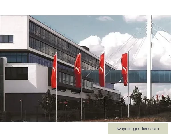 开云体育引领全球运动潮流创新发展与品牌战略探索